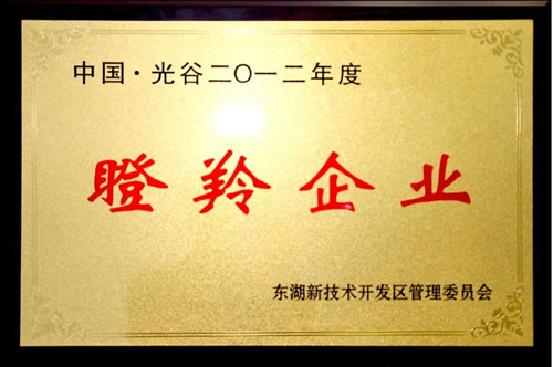 武汉J9九游会光电成功入选2012年度瞪羚企业